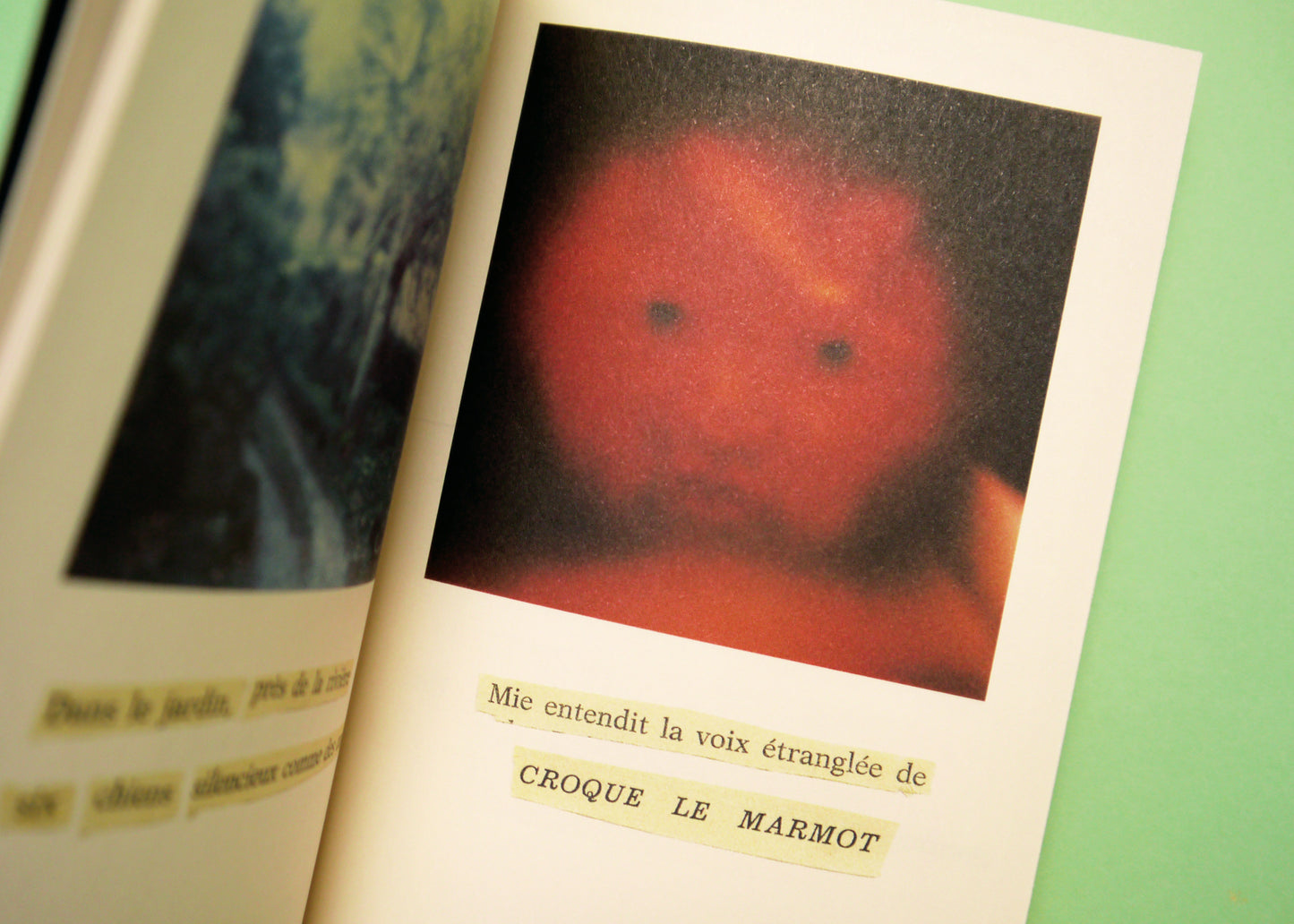 Mie, de Bertrand Mandico