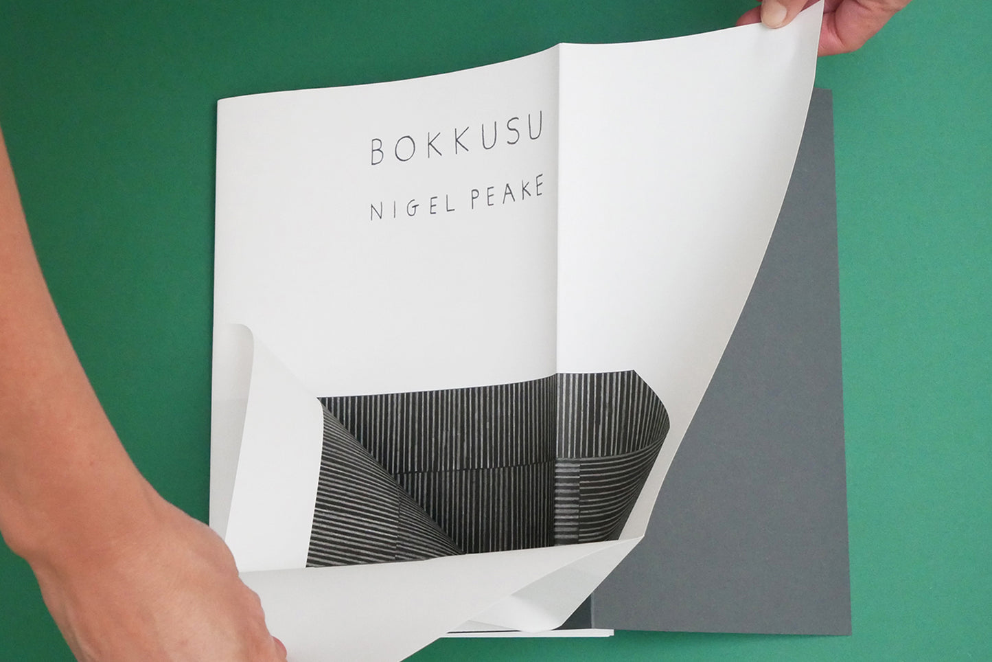 Bokkusu, de Nigel Peake