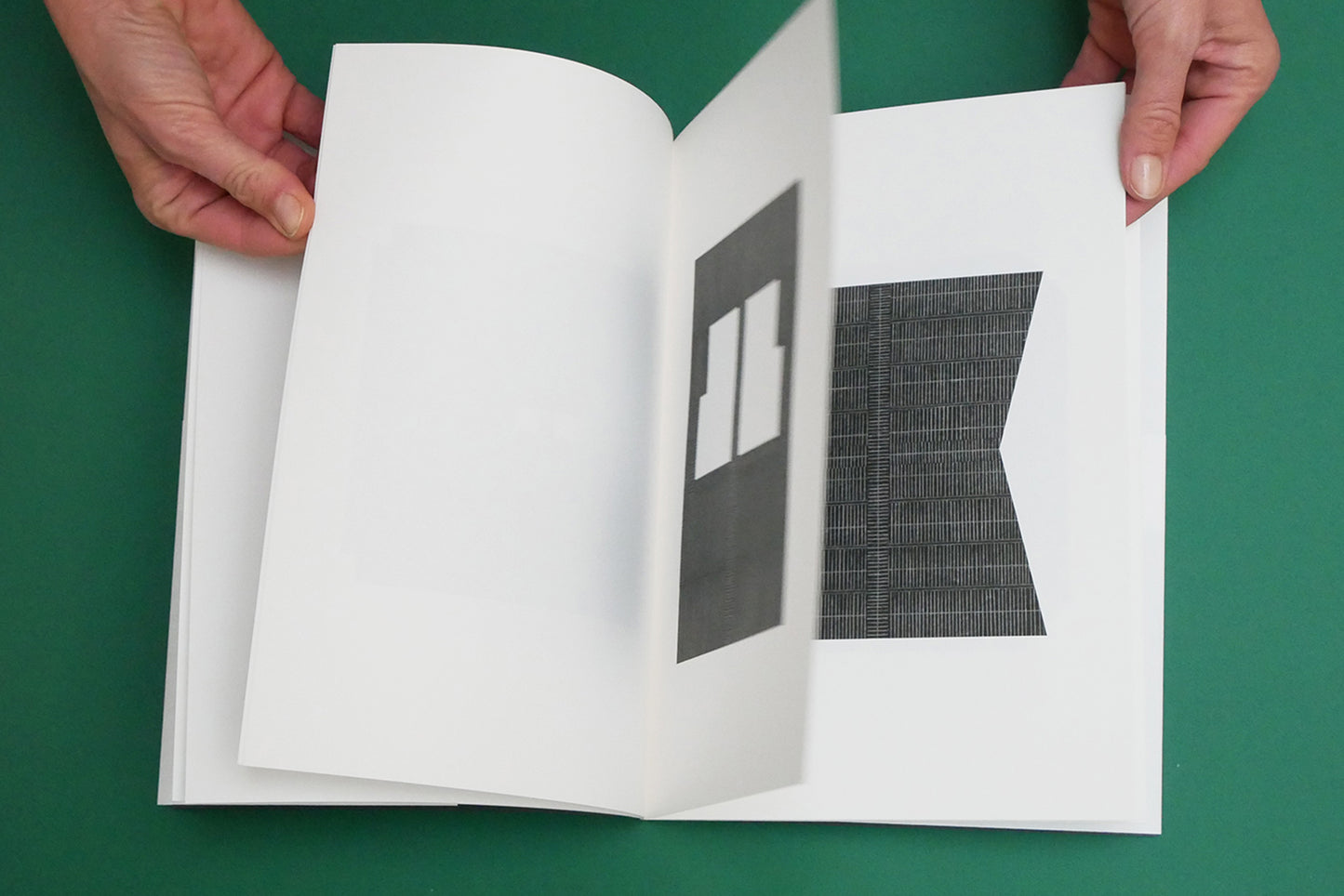 Bokkusu, de Nigel Peake