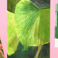 Greenhouse, Sophie Artz