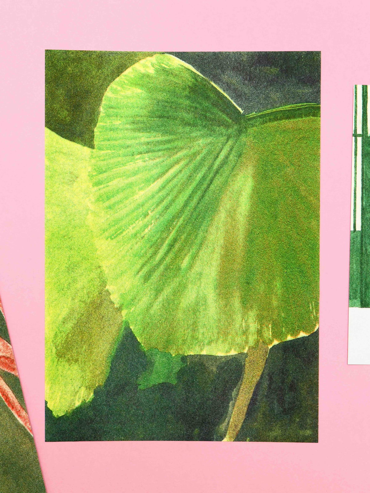 Greenhouse, Sophie Artz